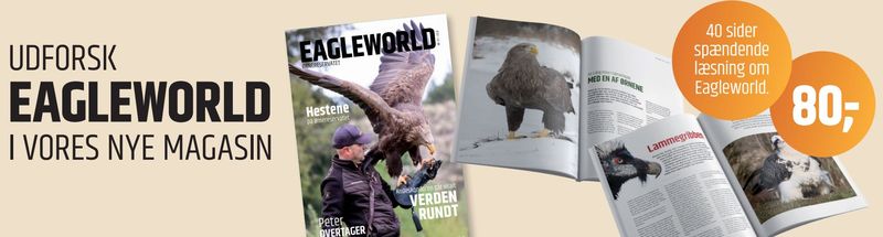 Das Magazin Eagleworld 2022