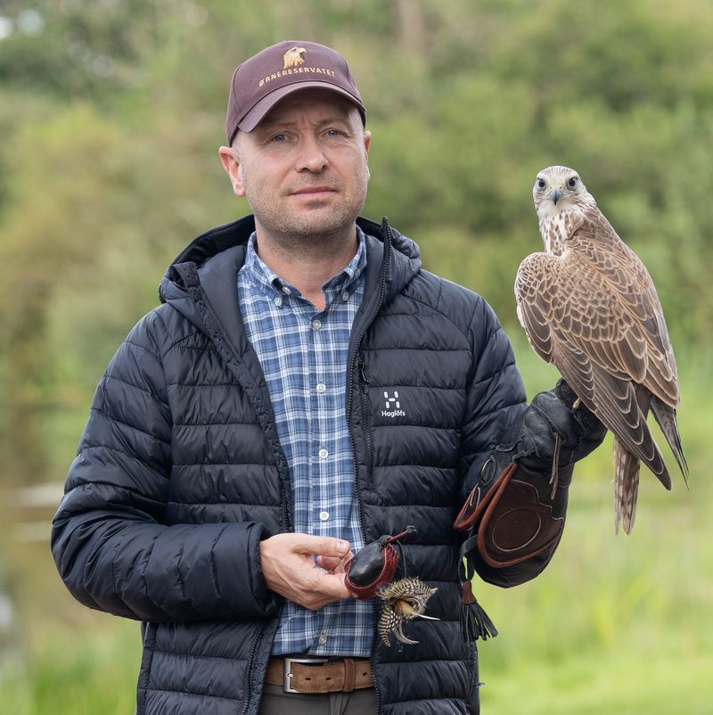 Peter Frank Wenzel mit Falke