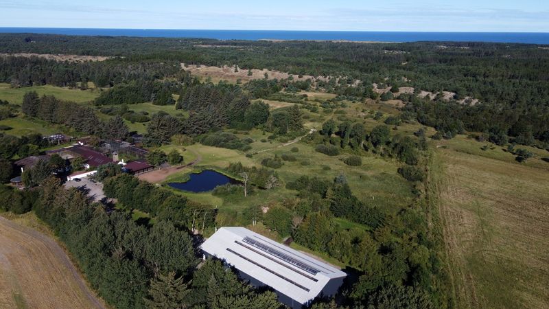 Ørnereservatet aus der Luft